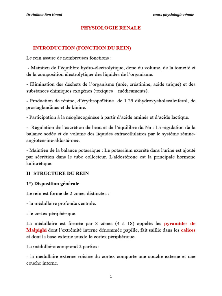 physiologie-r-nale-fonctions-et-structure-pdf-rein-cr-atinine