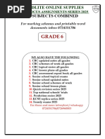 Grade 6 CBC Mathematics Assessment | PDF