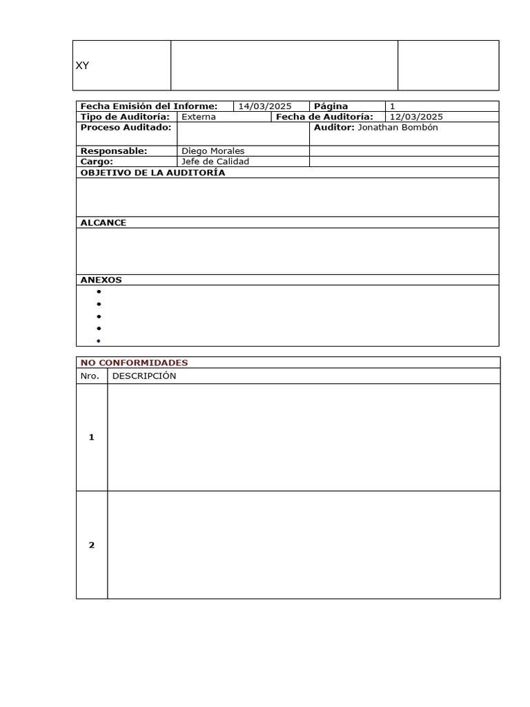 Cronograma de Auditoría Interna 2025 | PDF | Análisis de Riesgo y ...