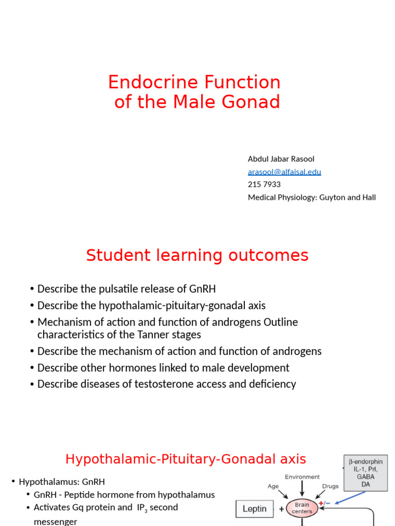 Male Gonadal Endocrine Function Overview | PDF | Luteinizing Hormone ...