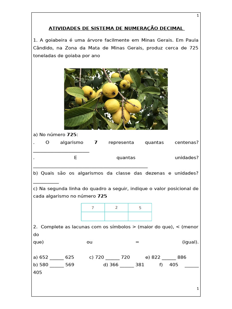Atividades De Sistema De Numeração Decimal Pdf Codificações