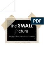 Ebook - The SMALL Picture
