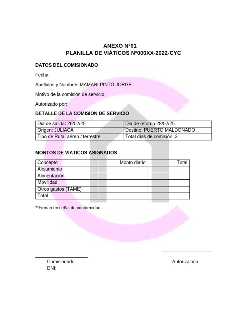 Formatos de Viaticos. | PDF
