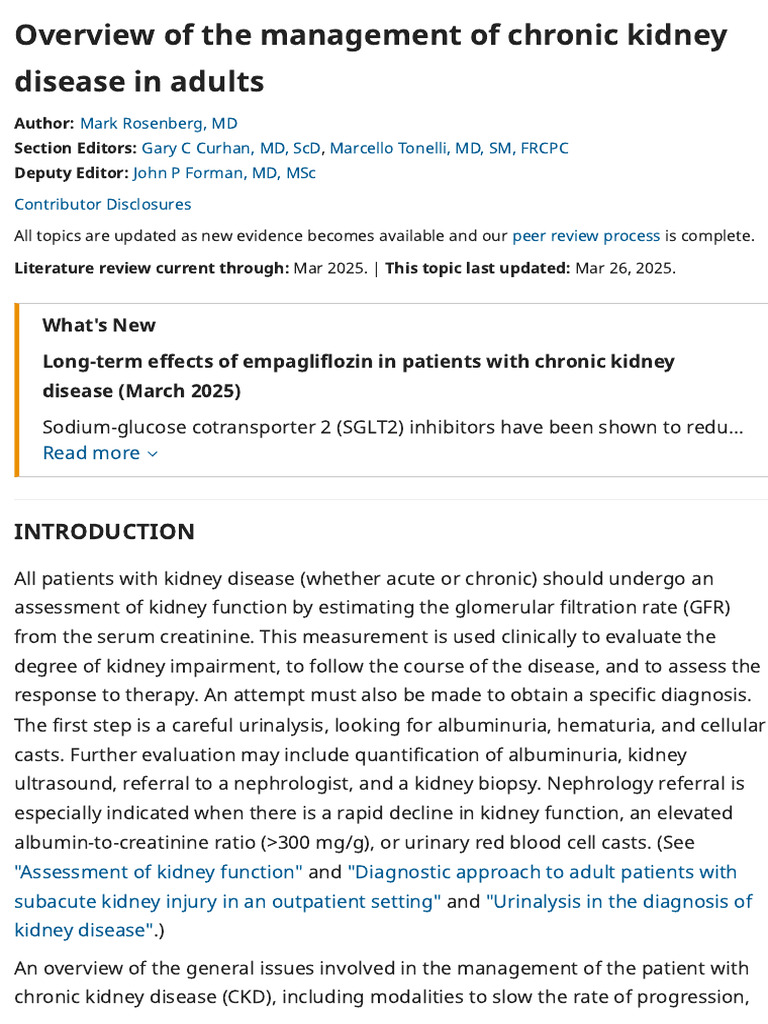 Chronic Kidney Disease Management Overview | PDF | Chronic Kidney ...