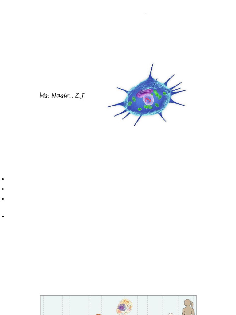 Overview of Cell Biology Concepts | PDF | Cell (Biology) | Endoplasmic ...