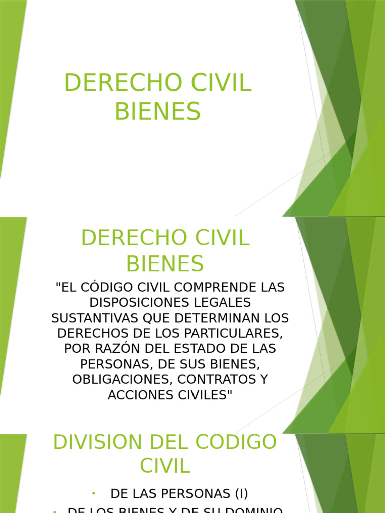 Bienes y Patrimonio en Derecho Civil | PDF | Propiedad | Bienes (Ley)