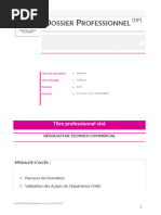 Dossier Professionnel : Guide Complet | PDF