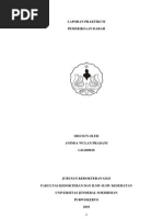 Download 54566398 Laporan Praktikum Patologi Klinik Fix by aditatik SN84661908 doc pdf