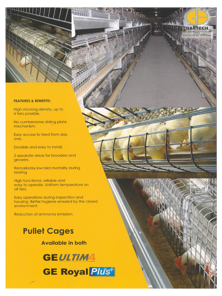 Ge Pullet | PDF