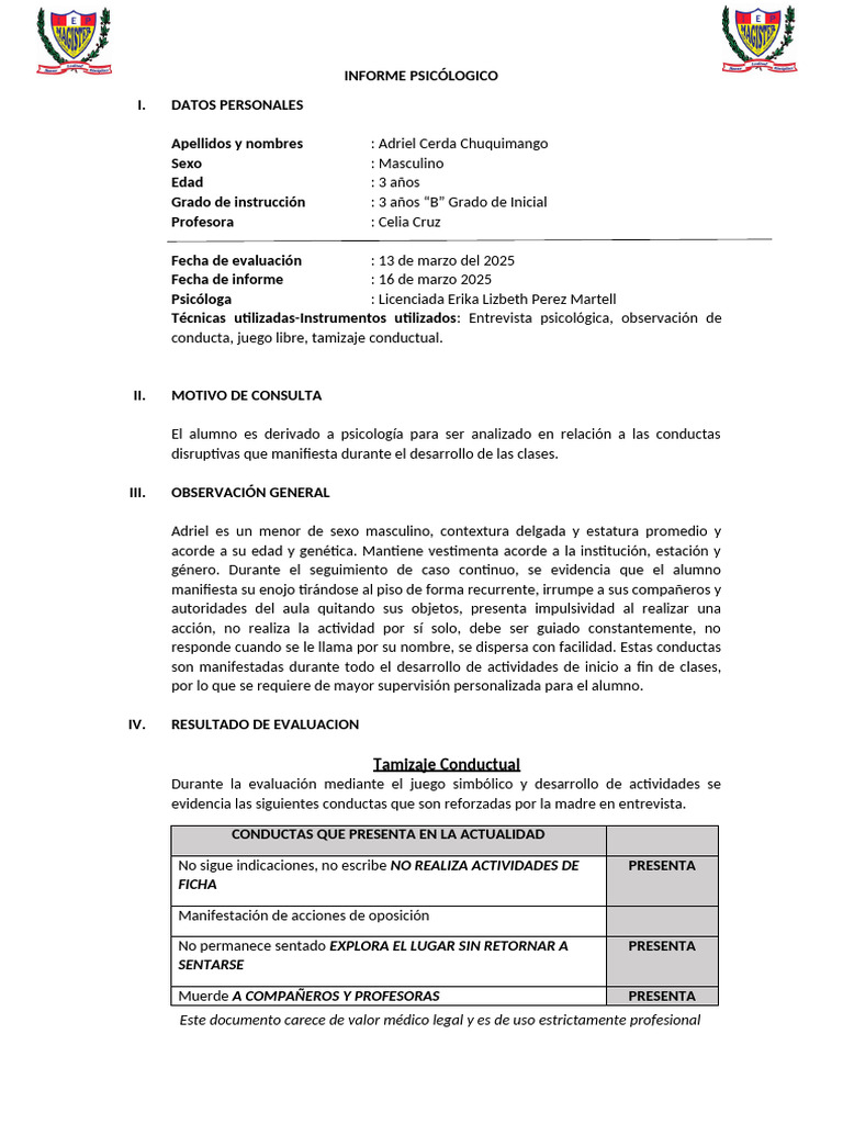 Informe Psicólogico - Adriel Cerda-3 Años B | PDF | Las emociones ...