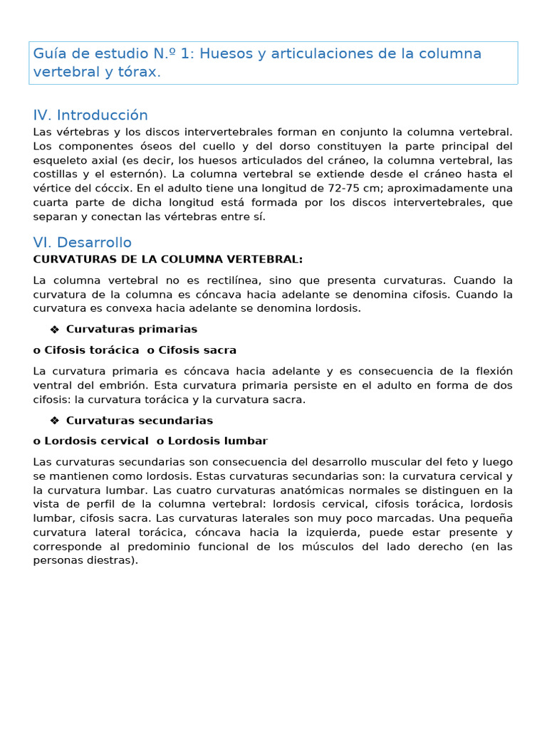 Curvaturas de la columna vertebral | PDF | La columna vertebral | Vértebra