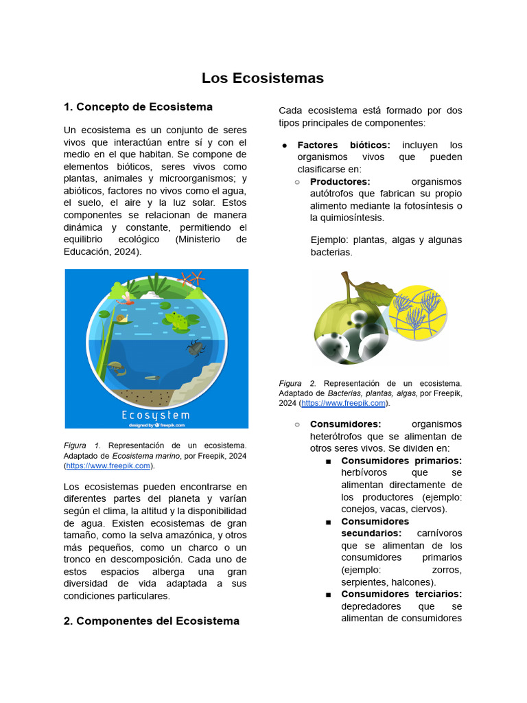Conceptos y Tipos de Ecosistemas | PDF | Ecosistema | Biogeografia