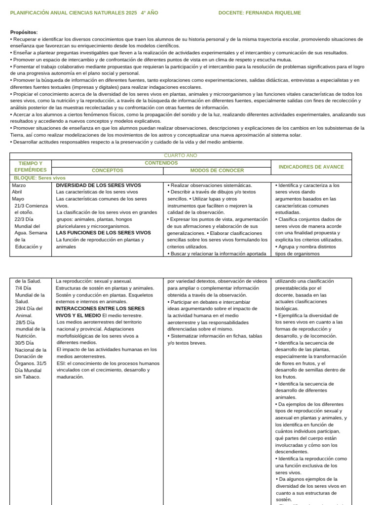Planificacion Anual Naturales Cuarto 2025 | PDF | Tierra | Imán