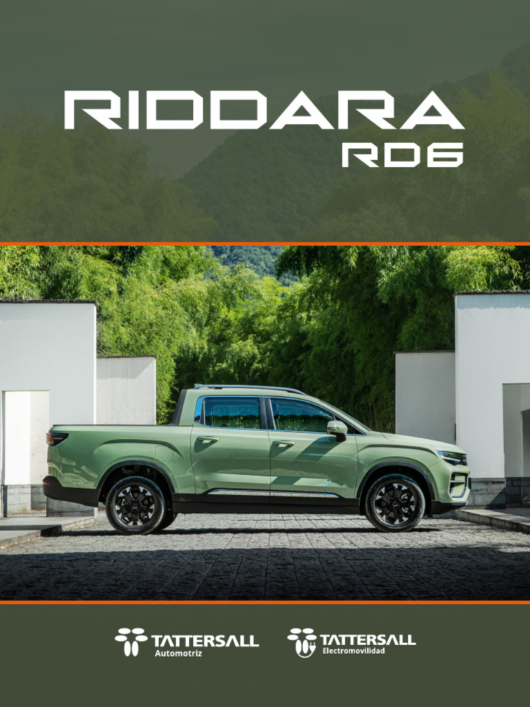 Especificaciones del RD6 Ultra y Air | PDF | Airbag | Vehículo de motor