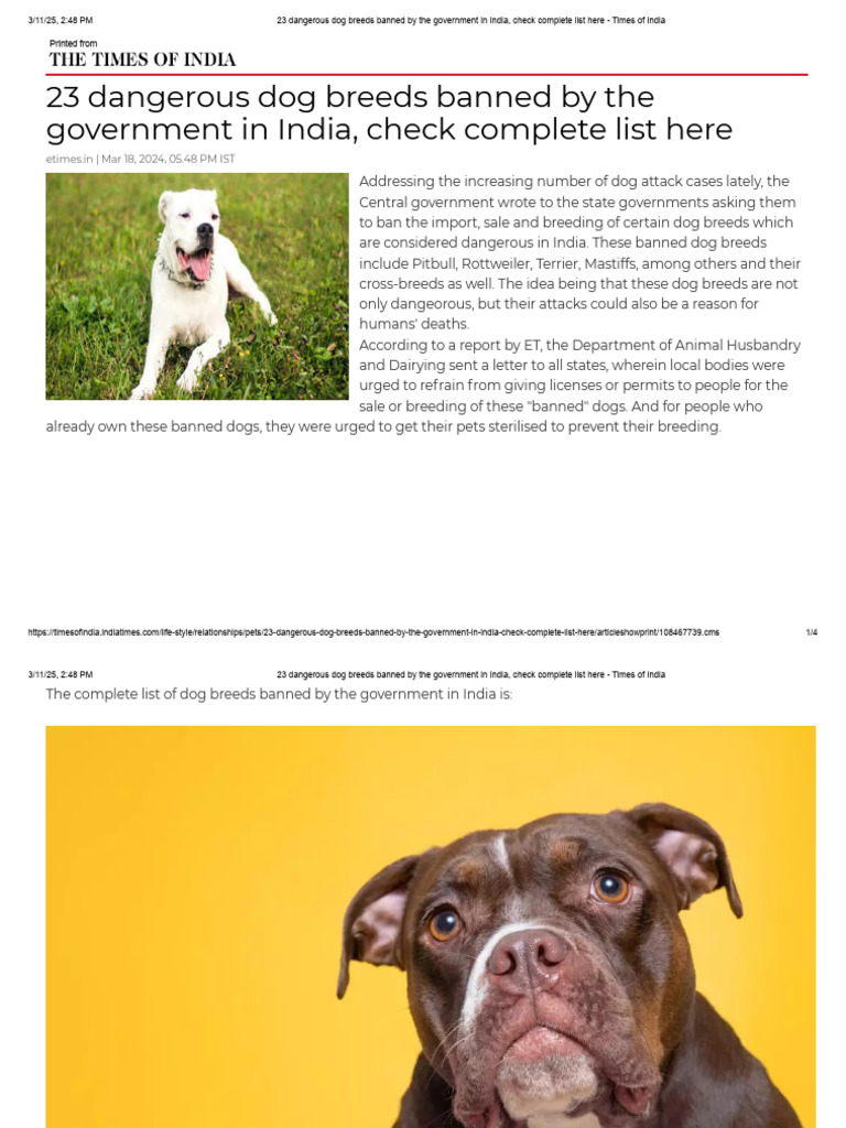 23 Banned Dangerous Dog Breeds in India PDF Pit Bull Dogs
