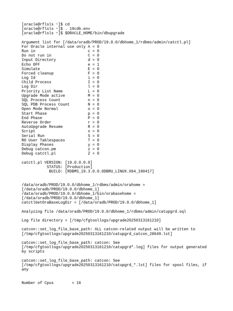Oracle Database 19c Upgrade Process | PDF | Software | Data Management ...