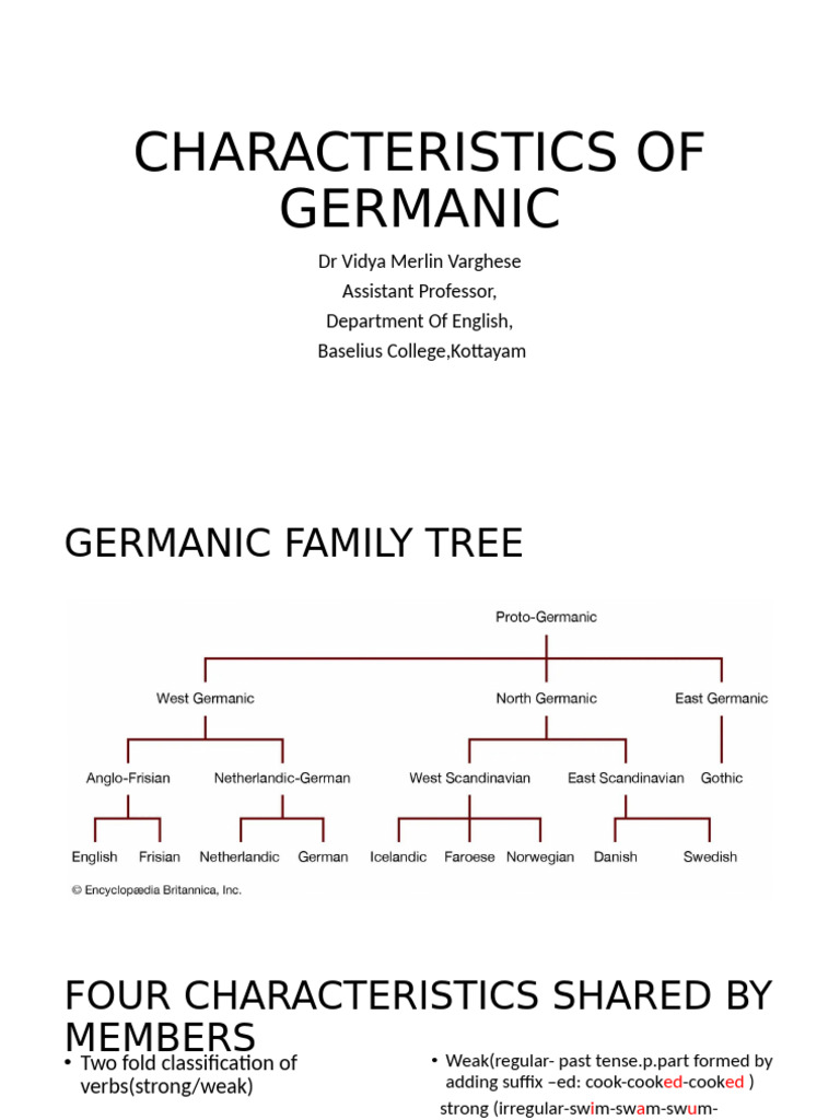Characteristics of the Germanic Language | PDF