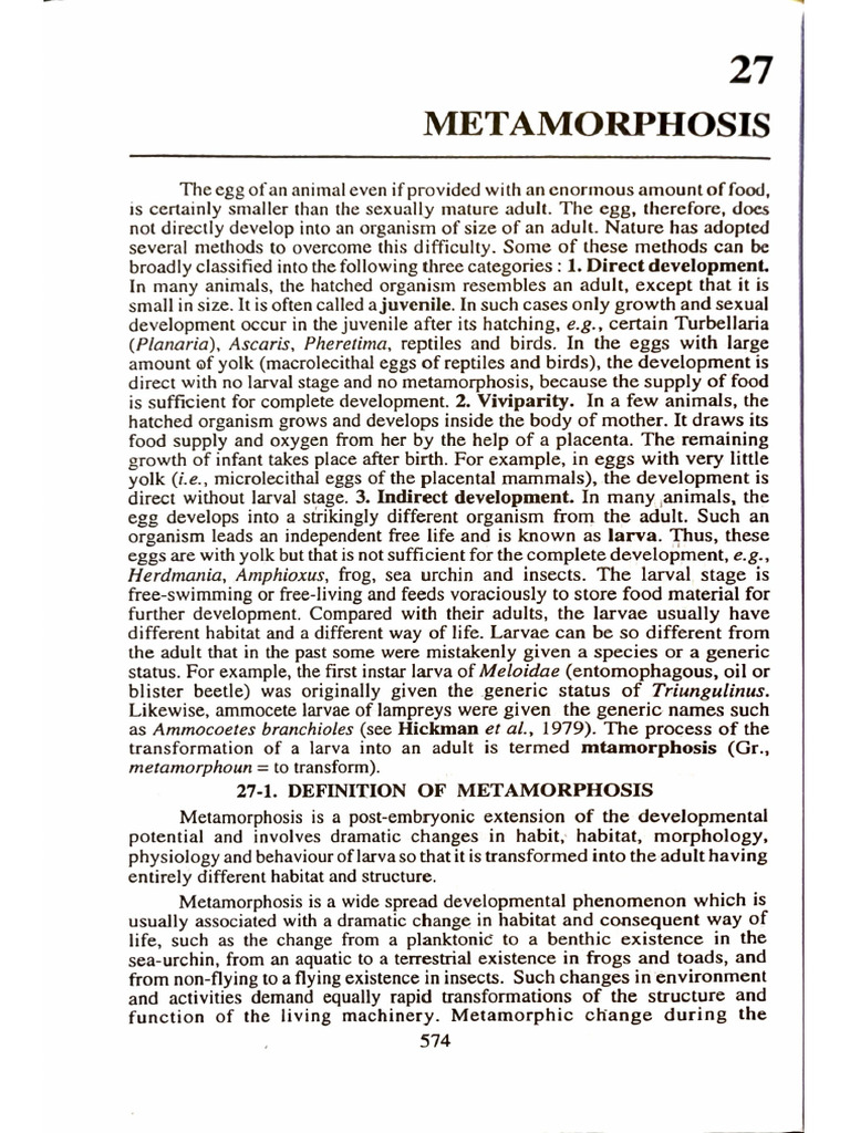 Metamorphosis | PDF