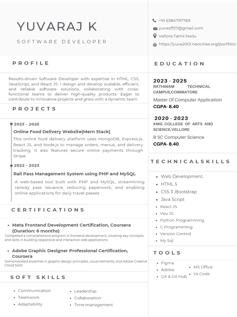 Software Developer Portfolio Overview | PDF | Java Script | Web Application
