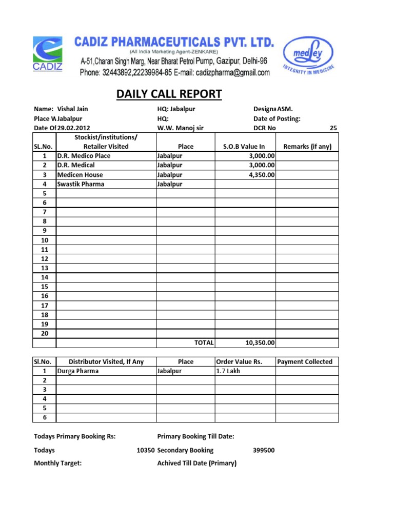 Daily Call Report for ASM Vishal Jain | PDF | Business | Finance ...