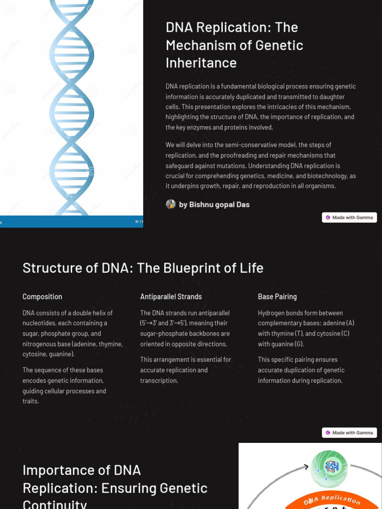 Mechanisms of Genetic Inheritance | PDF | Dna Replication | Dna