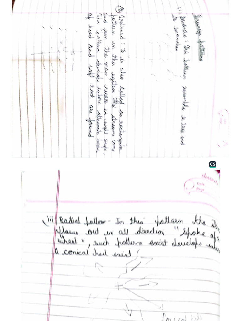 Geography Notes | PDF