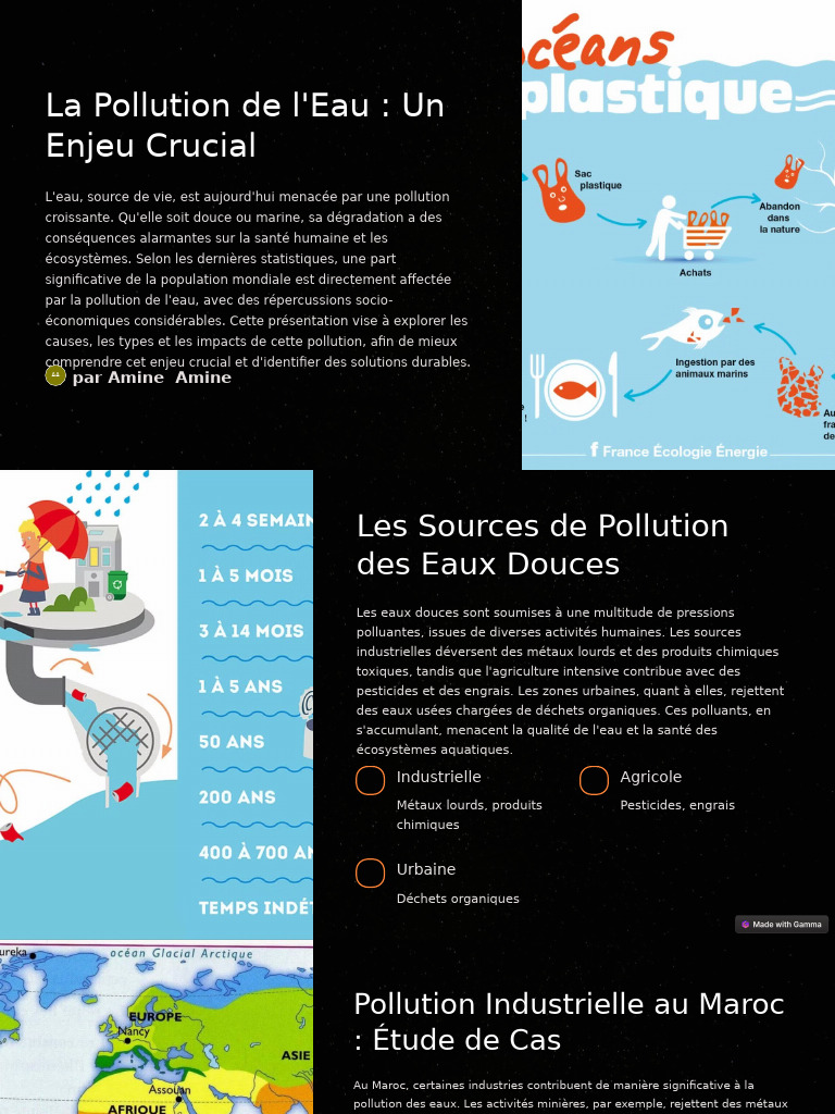 Pollution de l'Eau : Causes et Solutions | PDF | la pollution ...