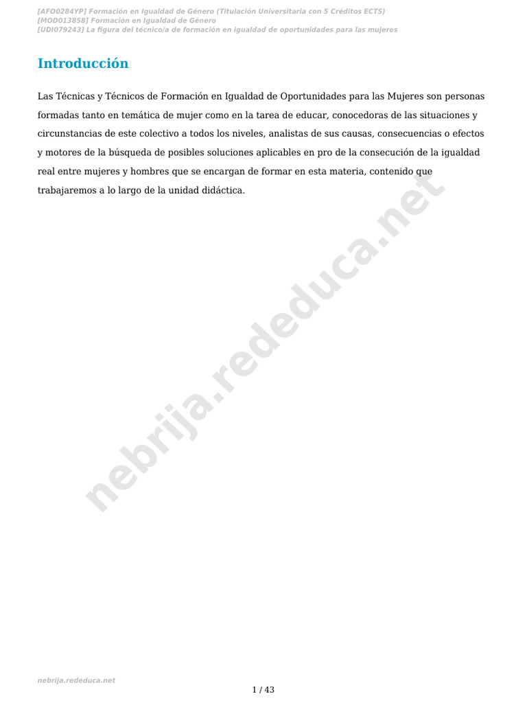 La Figura Del Técnico - A de Formación en Igualdad de Oportunidades ...