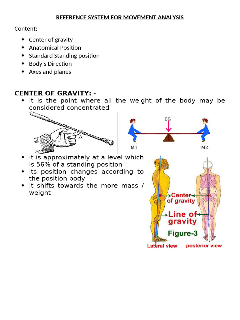 Movement Analysis Reference Guide | PDF | Anatomical Terms Of Location