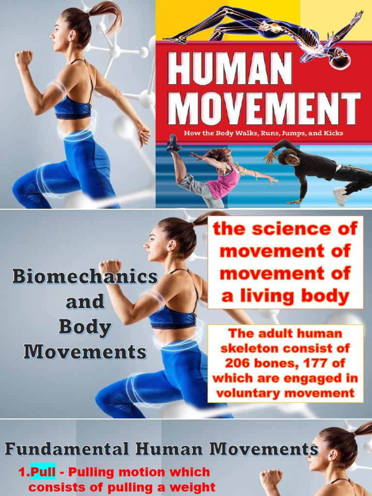 Understanding Endomorph Body Mechanics | PDF | Skeleton | Muscle
