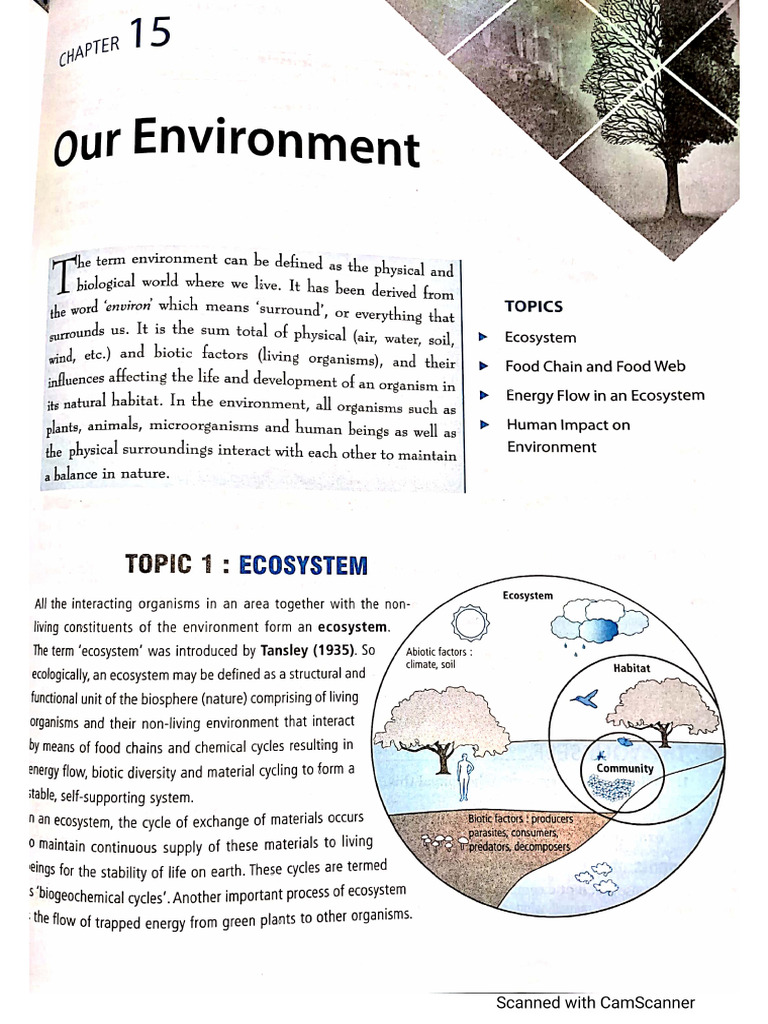 Our Environment | PDF