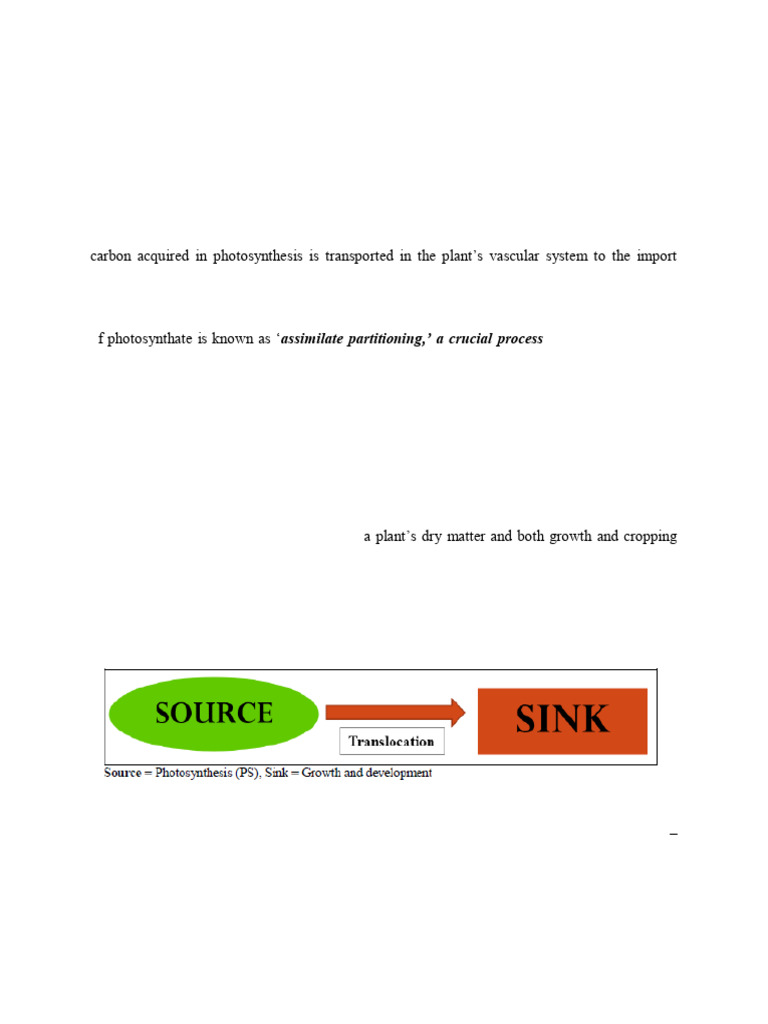 Assimilate Partitioning in Fruit Crops | PDF | Plants | Biology