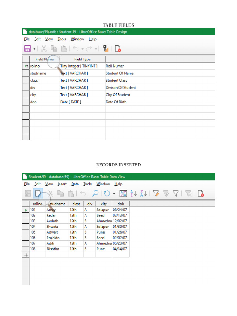 DB Form Table Fields Overview | PDF