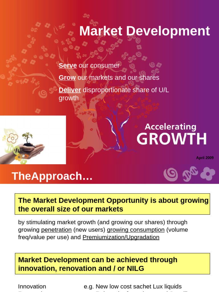 Indonesia Market Development Strategy | PDF | Economies | Marketing