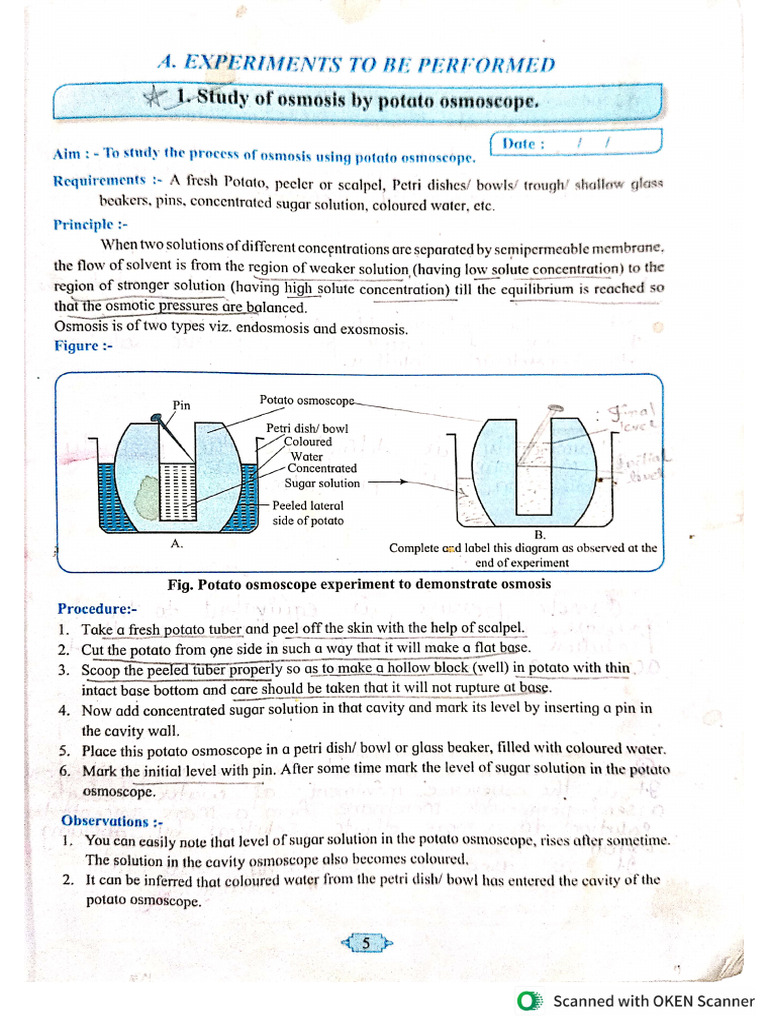 Biology 12th Journal | PDF