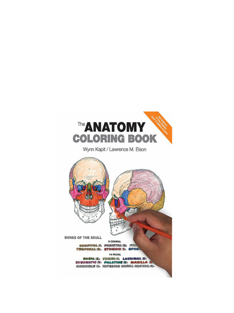 Anatomy Coloring Book 4th Edition Wynn Kapit pdf download | PDF ...