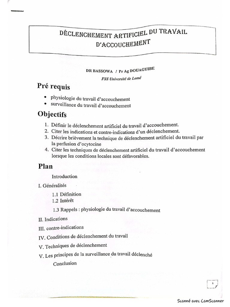 (Word) Déclenchement Artificiel Du Travail D'accouchement | PDF