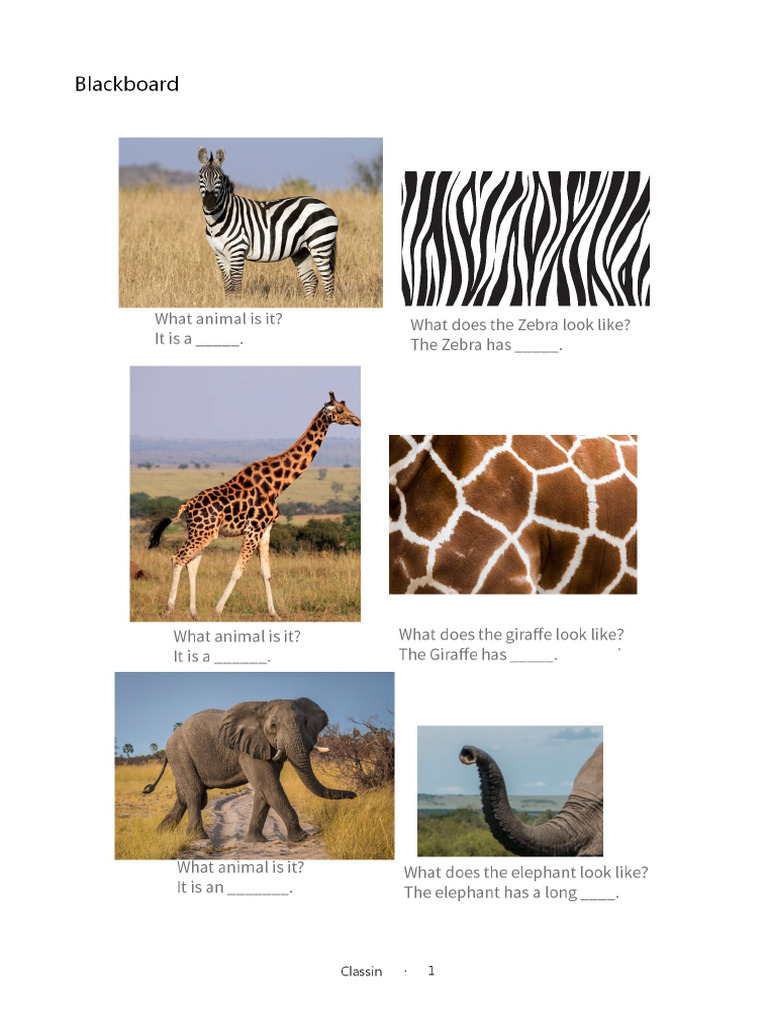 Wild Animals Features | PDF
