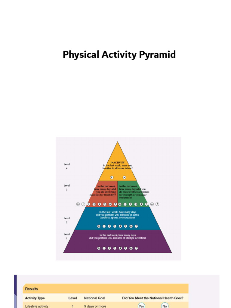 Lesson 7 Physical Activity Pyramid 1 | PDF