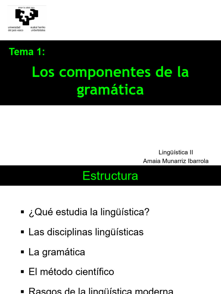 1. Los Componentes de La Gramática | PDF | Lingüística | Gramática