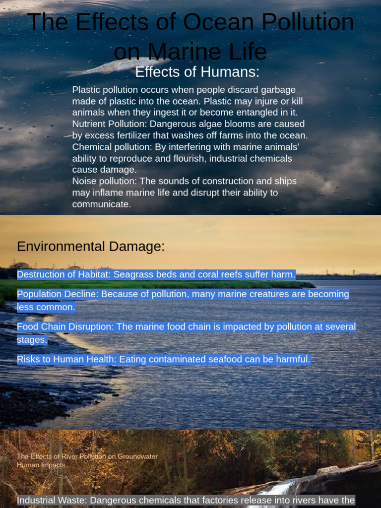 Ocean and Groundwater Pollution Effects | PDF | Water Pollution ...
