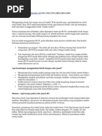 Download Solar Panel by christian_tj SN84680501 doc pdf