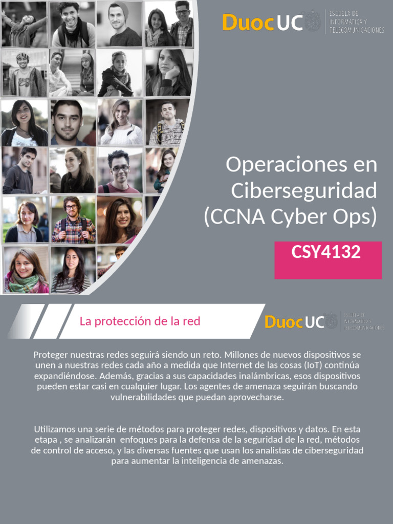 Estrategias de Ciberseguridad y CVE | PDF | Seguridad | La seguridad ...