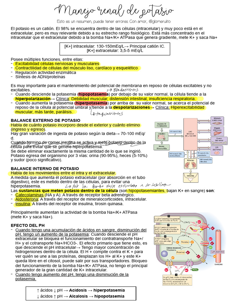 Funciones y Manejo del Potasio en el Cuerpo | PDF | Potasio | Química