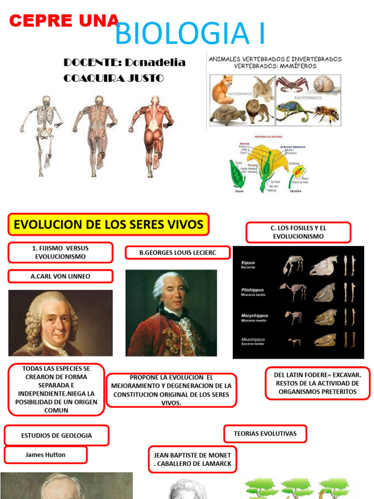 Evolución y Origen de la Vida | PDF | Evolución | Homo