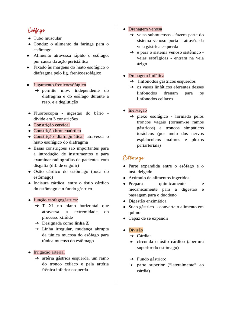 Anatomia do Óstio Cárdico e Estômago | PDF | Estômago | Esôfago