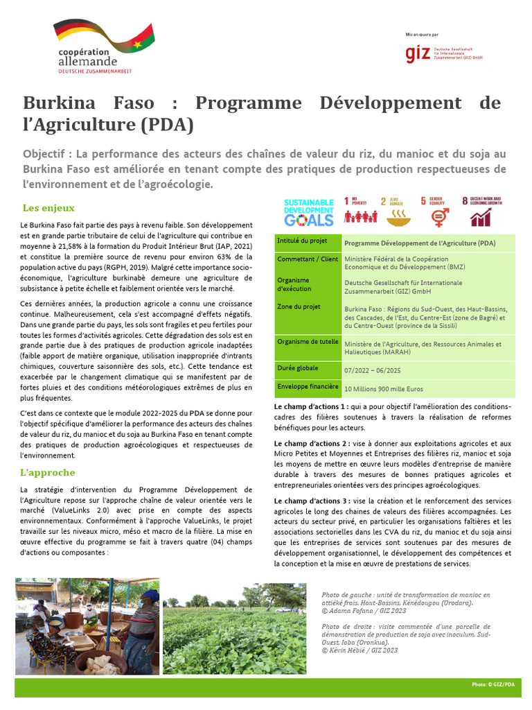 Amélioration des chaînes de valeur agricoles au Burkina Faso | PDF ...