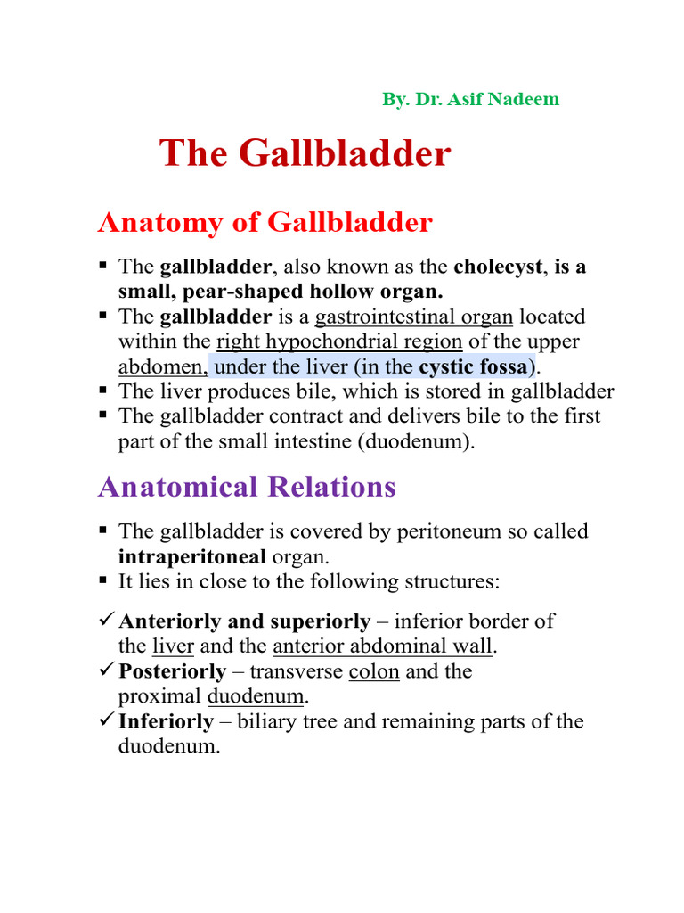Anatomy and Function of the Gallbladder | PDF | Gallbladder | Bile