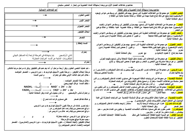 نيجسكولأا يئانث هكلاهتسإ متي يئاهنلا لبقتسملا هنلأ تعبارلا تلحرملا يف ...