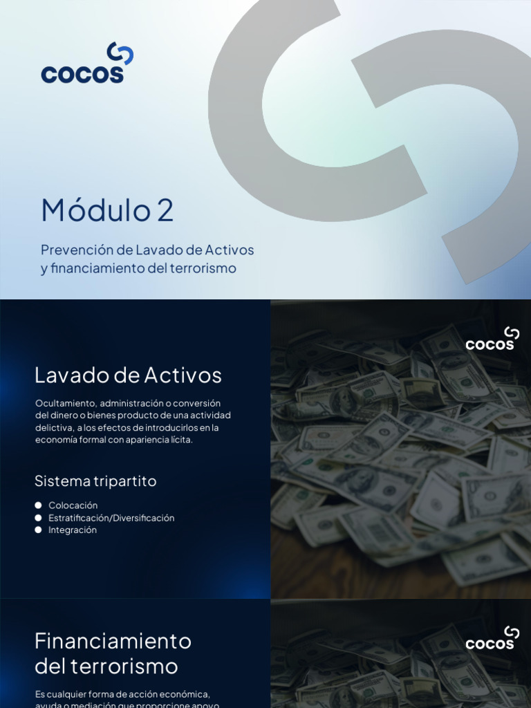 Prevención de Lavado de Activos y FT | PDF | Lavado de dinero